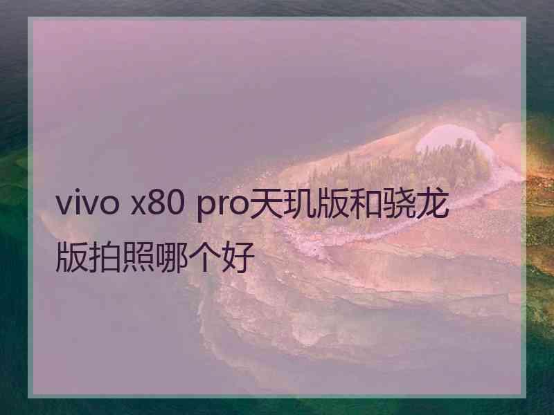 vivo x80 pro天玑版和骁龙版拍照哪个好