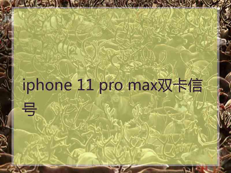 iphone 11 pro max双卡信号