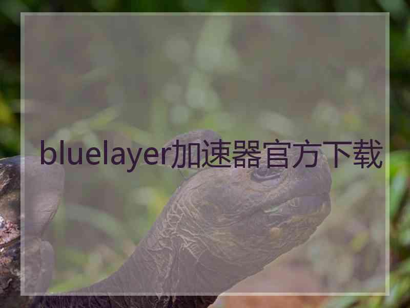 bluelayer加速器官方下载