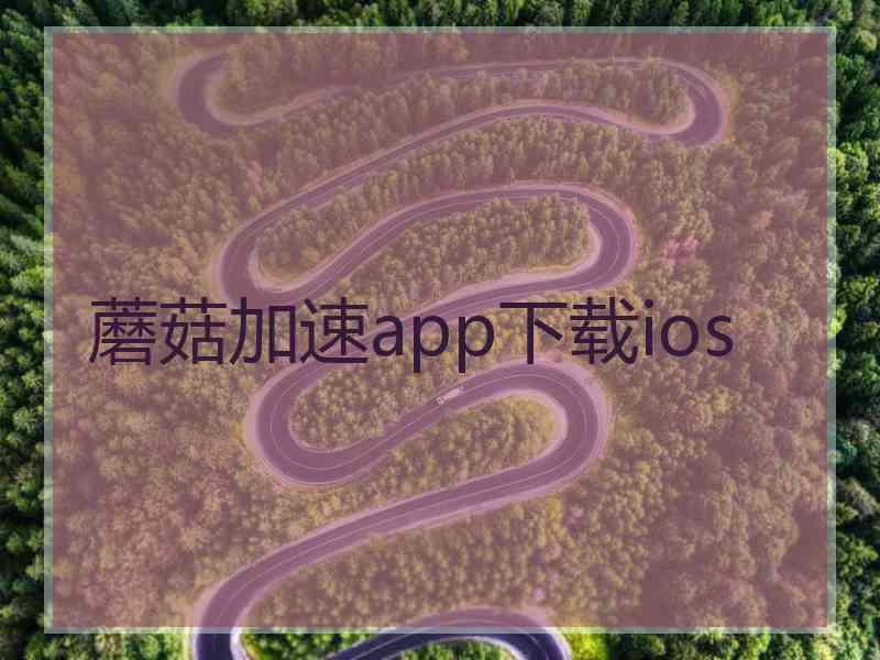 蘑菇加速app下载ios