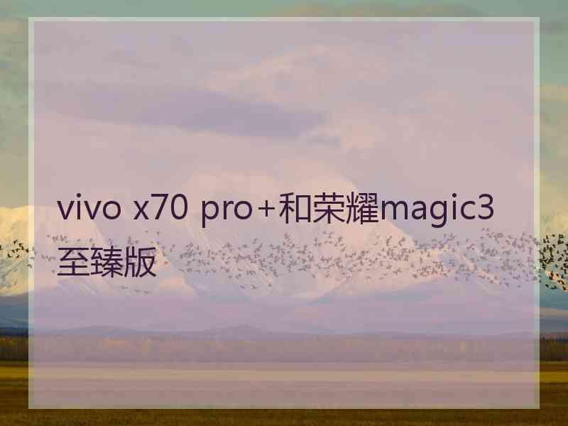 vivo x70 pro+和荣耀magic3至臻版