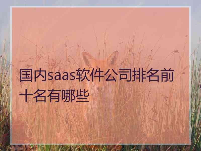 国内saas软件公司排名前十名有哪些