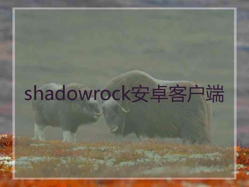 shadowrock安卓客户端