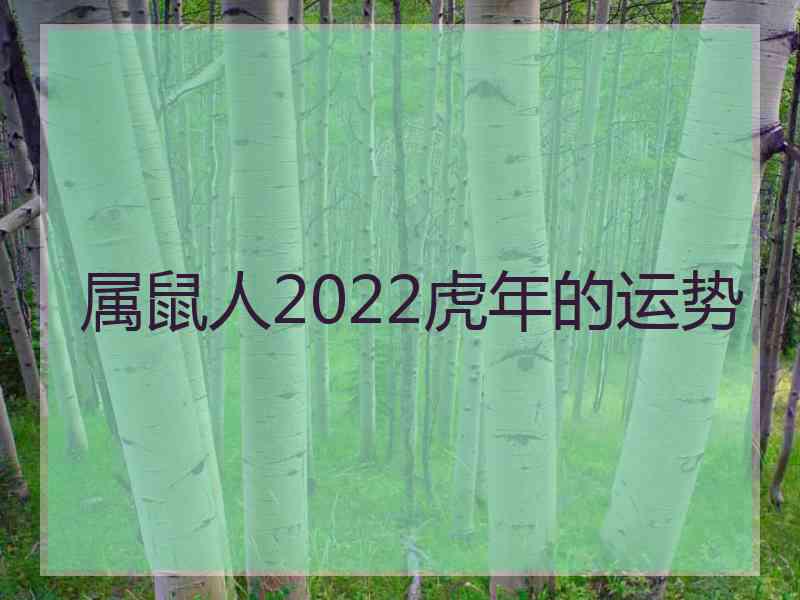 属鼠人2022虎年的运势