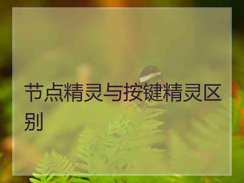 节点精灵与按键精灵区别