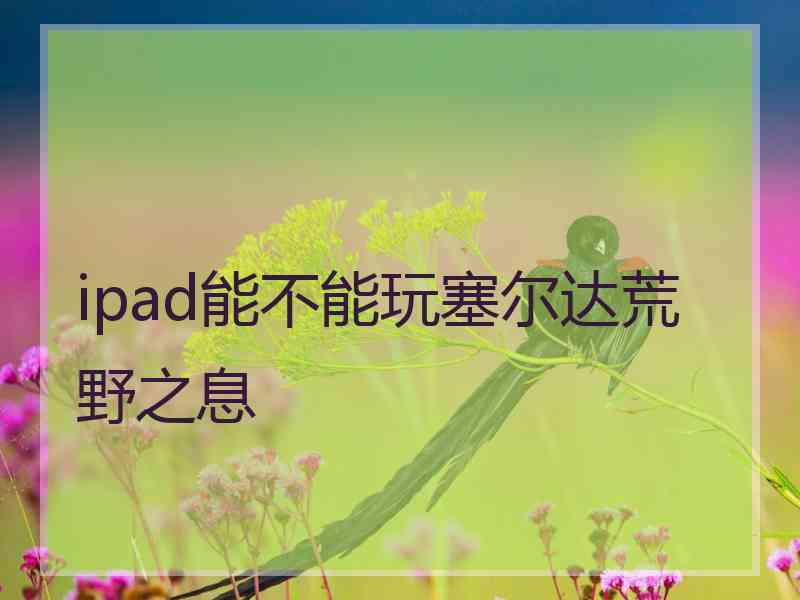 ipad能不能玩塞尔达荒野之息