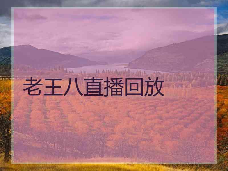 老王八直播回放