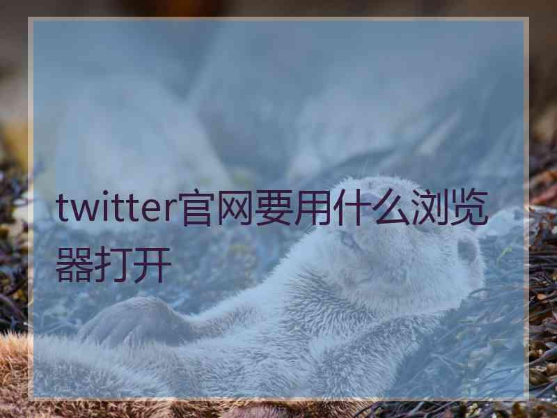 twitter官网要用什么浏览器打开