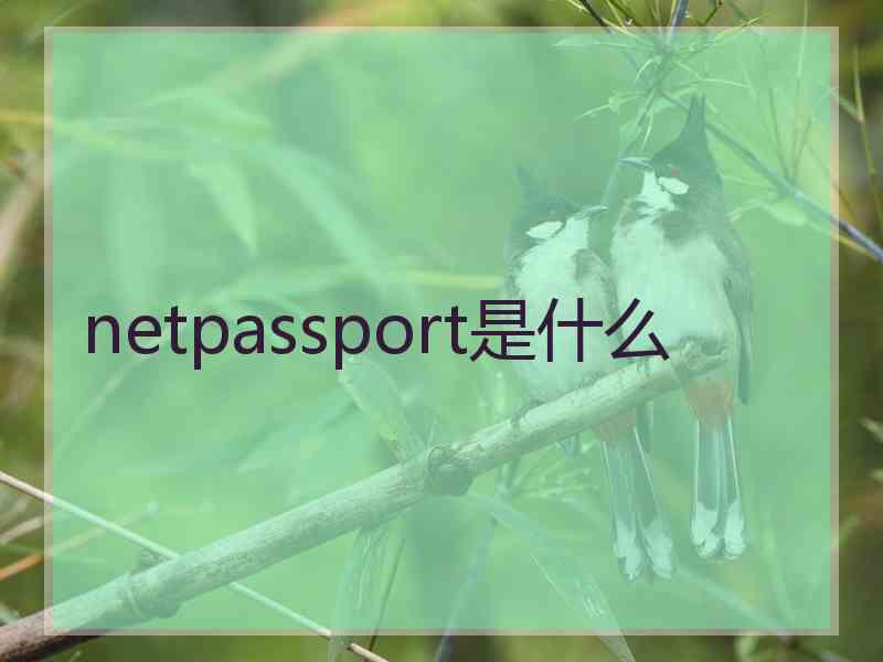 netpassport是什么