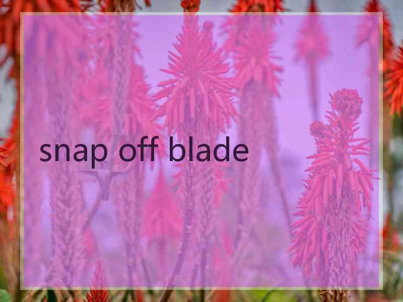 snap off blade