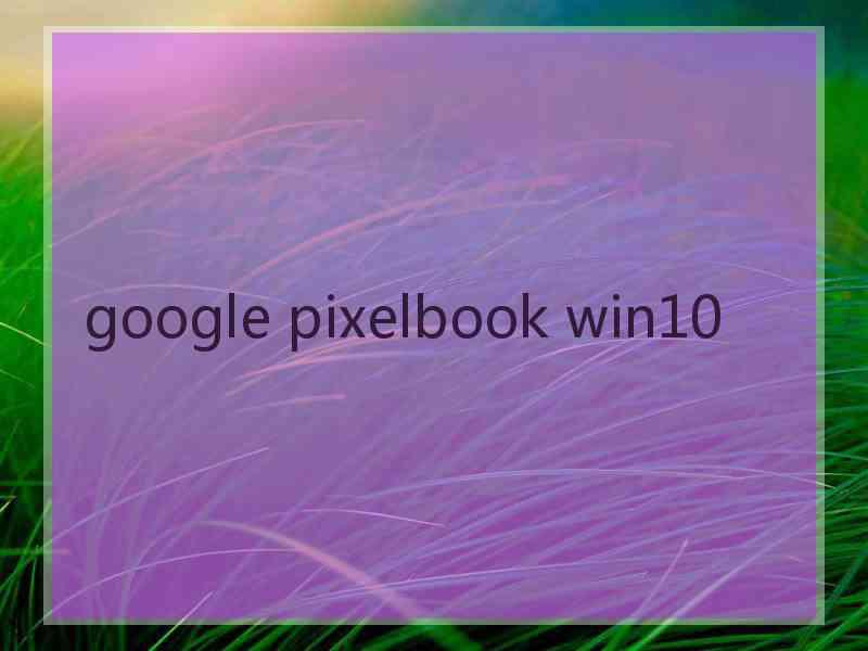 google pixelbook win10