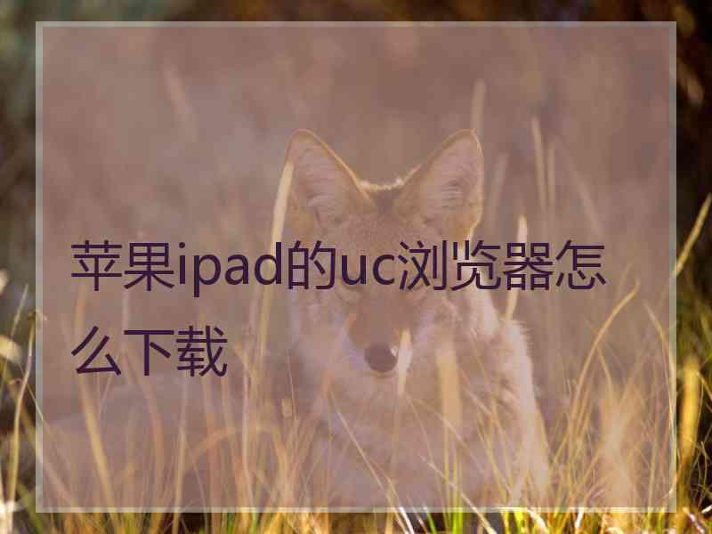 苹果ipad的uc浏览器怎么下载