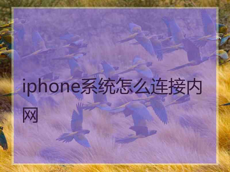 iphone系统怎么连接内网