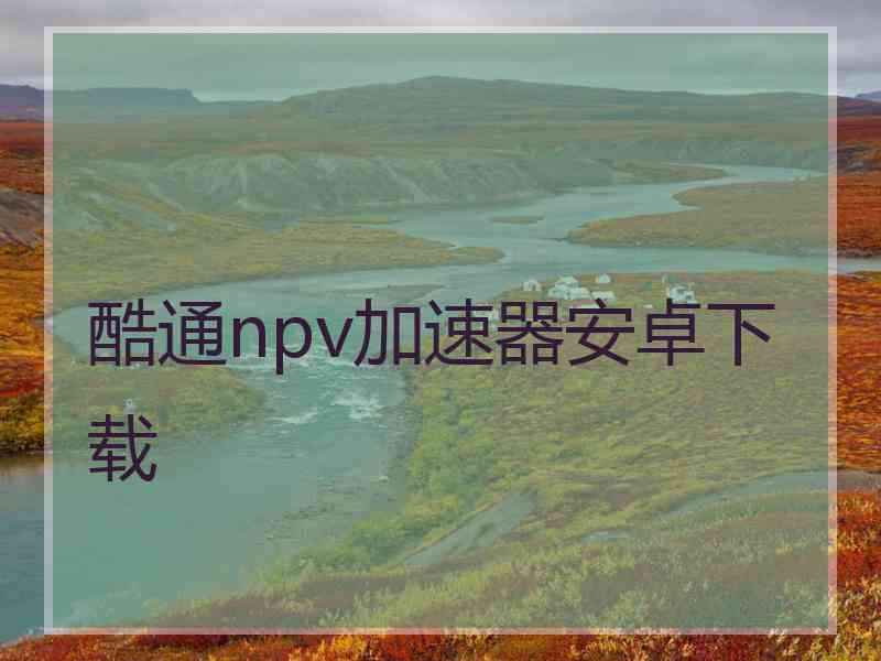 酷通npv加速器安卓下载