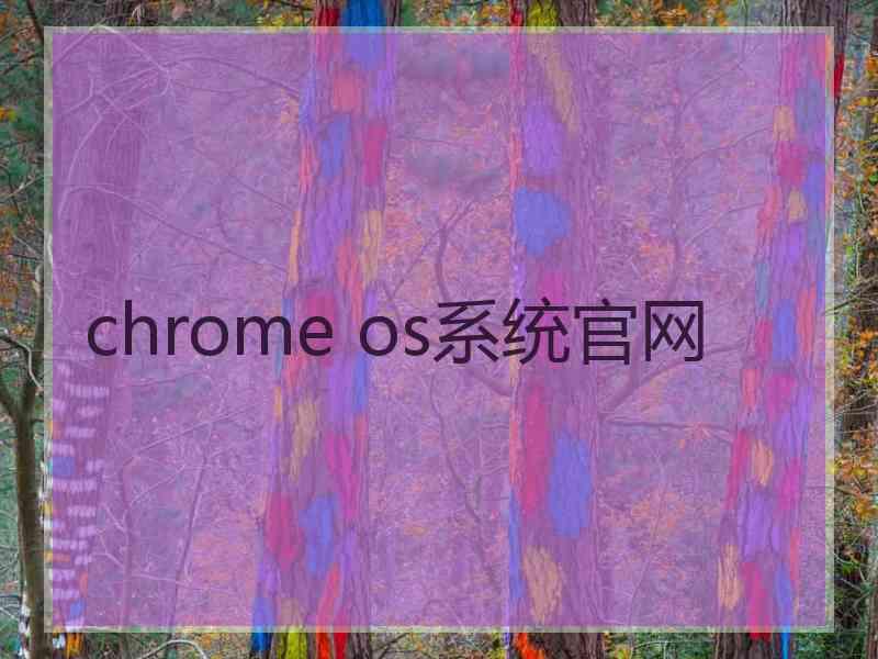 chrome os系统官网