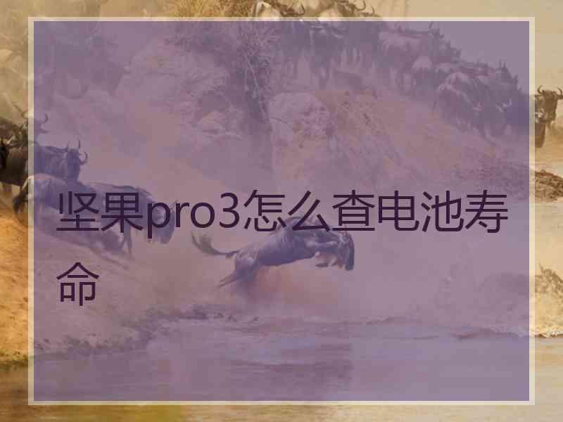 坚果pro3怎么查电池寿命