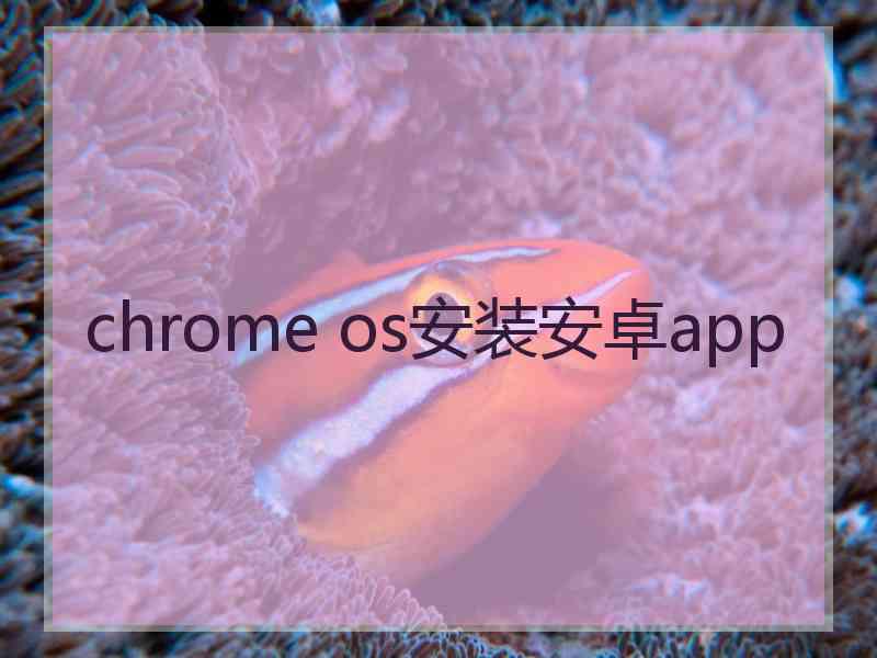 chrome os安装安卓app