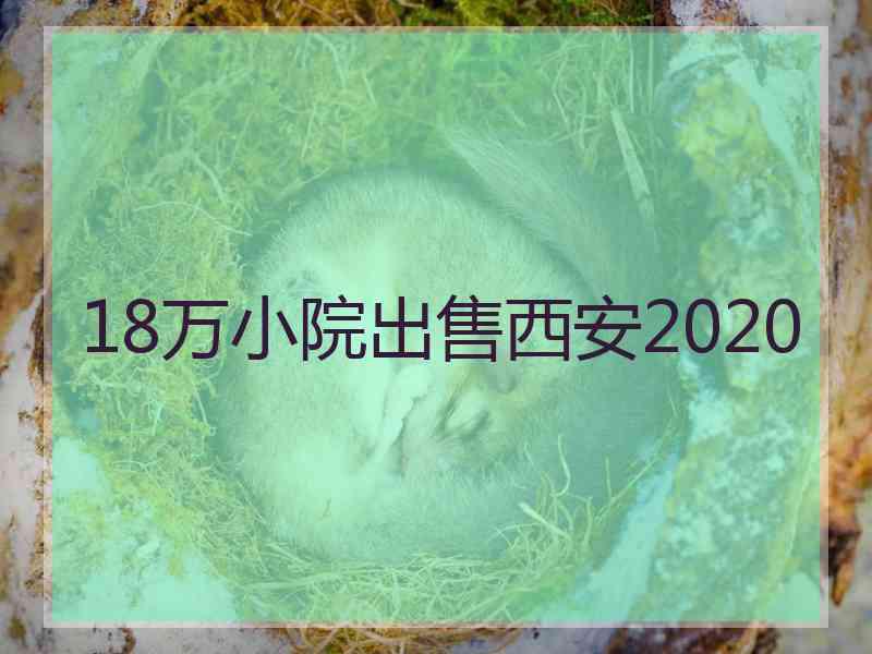 18万小院出售西安2020