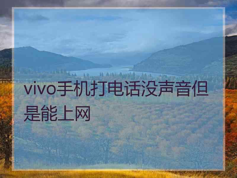 vivo手机打电话没声音但是能上网