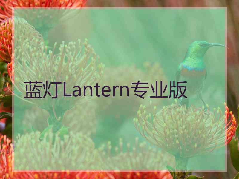 蓝灯Lantern专业版