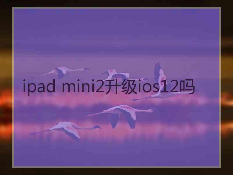 ipad mini2升级ios12吗