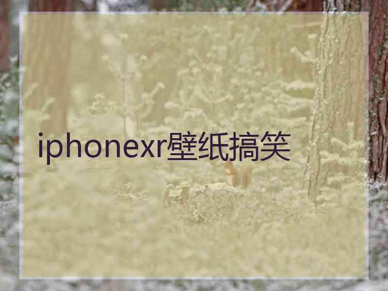 iphonexr壁纸搞笑