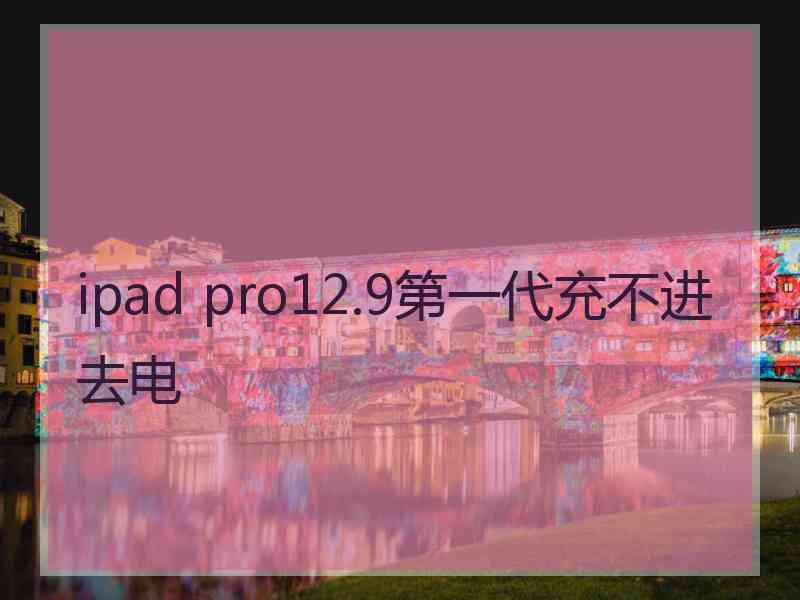 ipad pro12.9第一代充不进去电