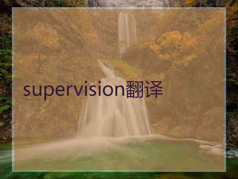 supervision翻译