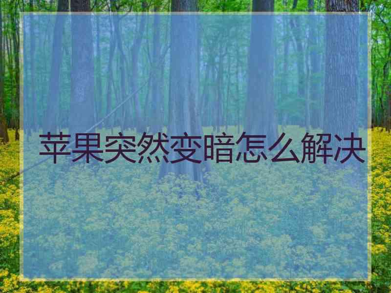 苹果突然变暗怎么解决