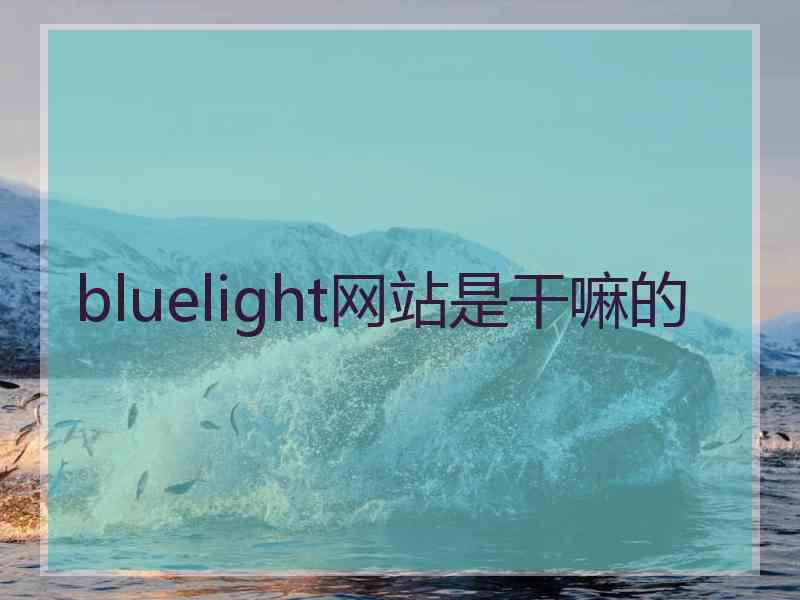 bluelight网站是干嘛的