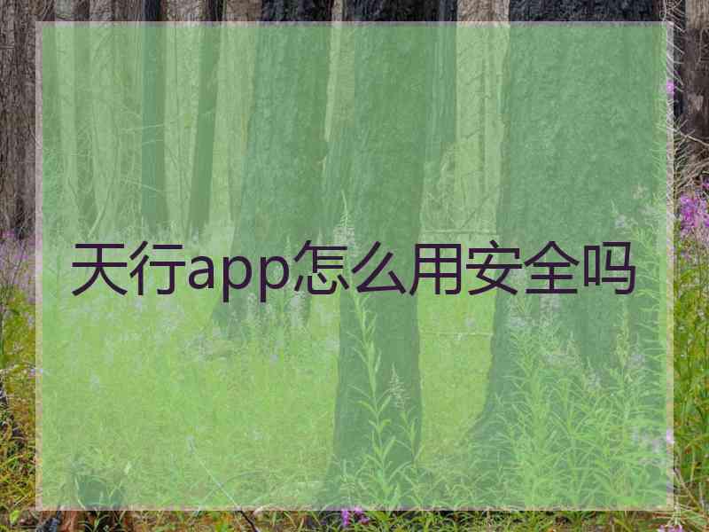 天行app怎么用安全吗