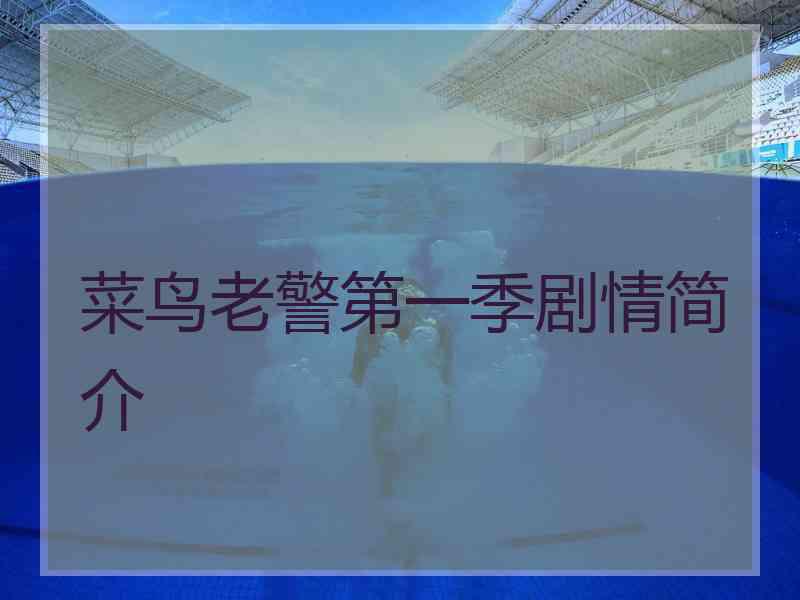 菜鸟老警第一季剧情简介