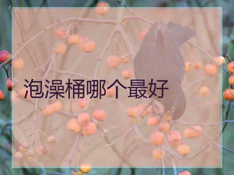 泡澡桶哪个最好