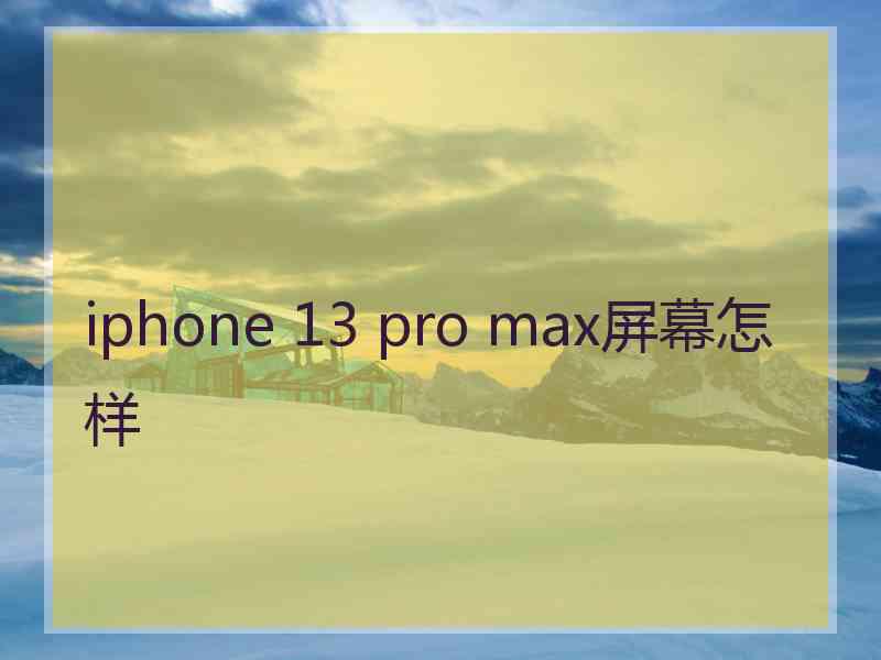 iphone 13 pro max屏幕怎样