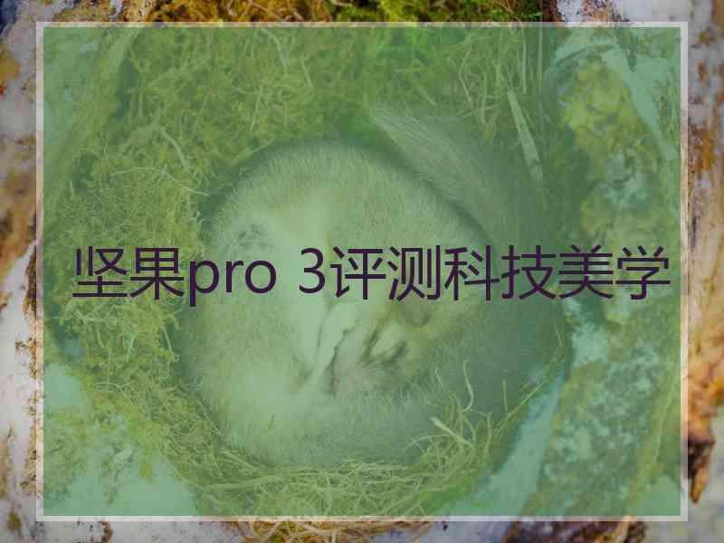 坚果pro 3评测科技美学