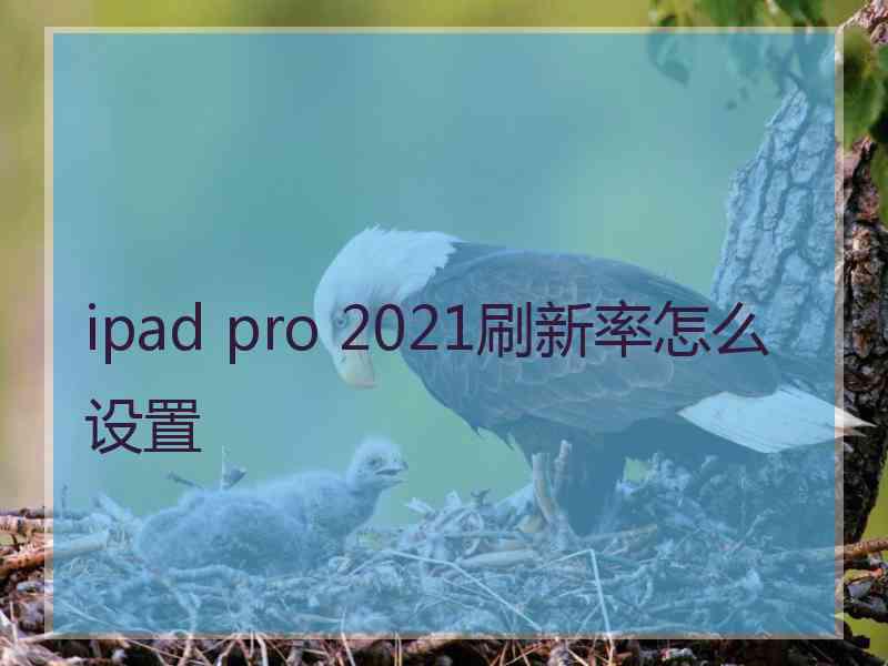 ipad pro 2021刷新率怎么设置