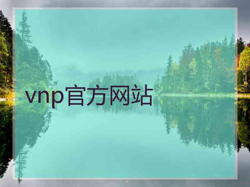 vnp官方网站