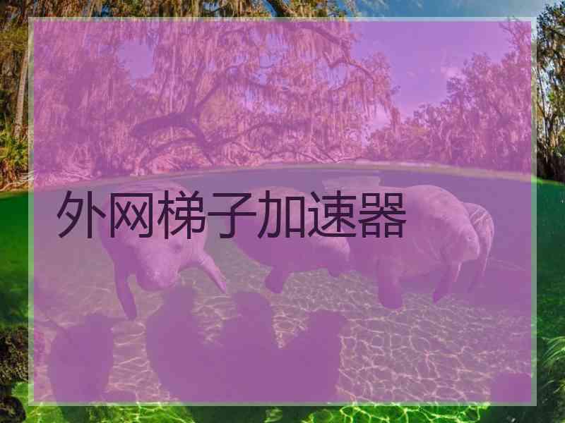 外网梯子加速器