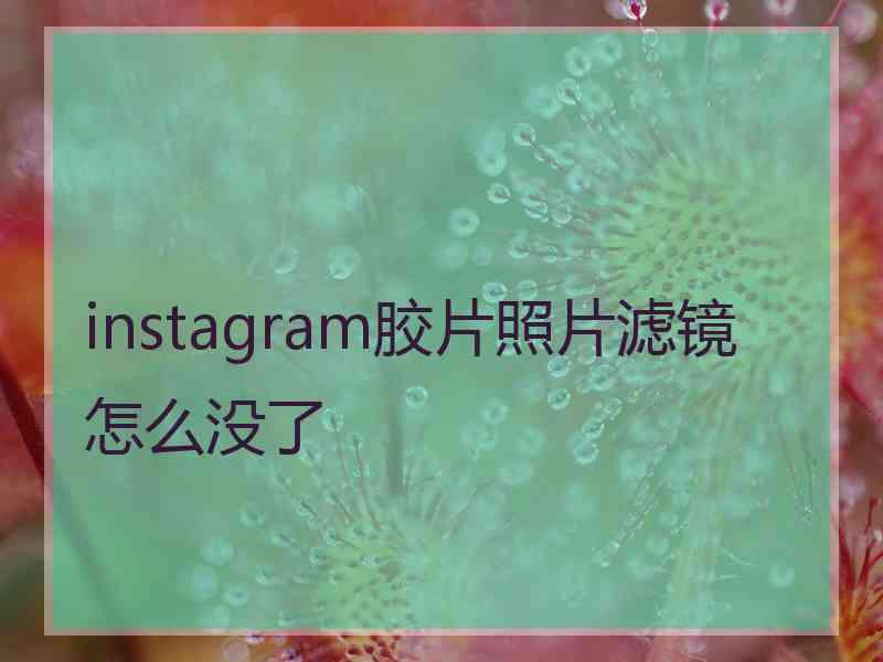 instagram胶片照片滤镜怎么没了