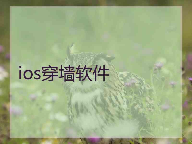 ios穿墙软件