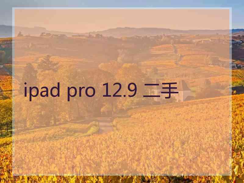 ipad pro 12.9 二手