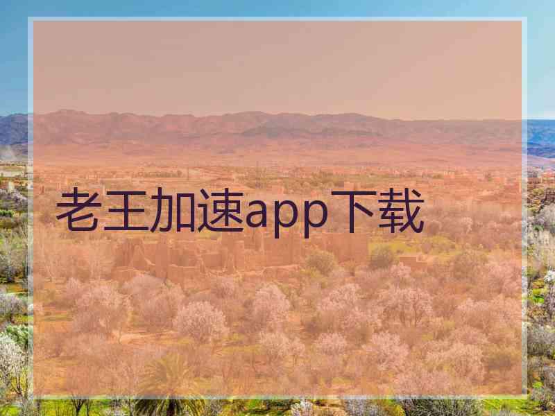 老王加速app下载