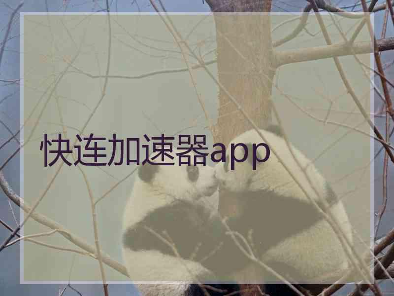 快连加速器app