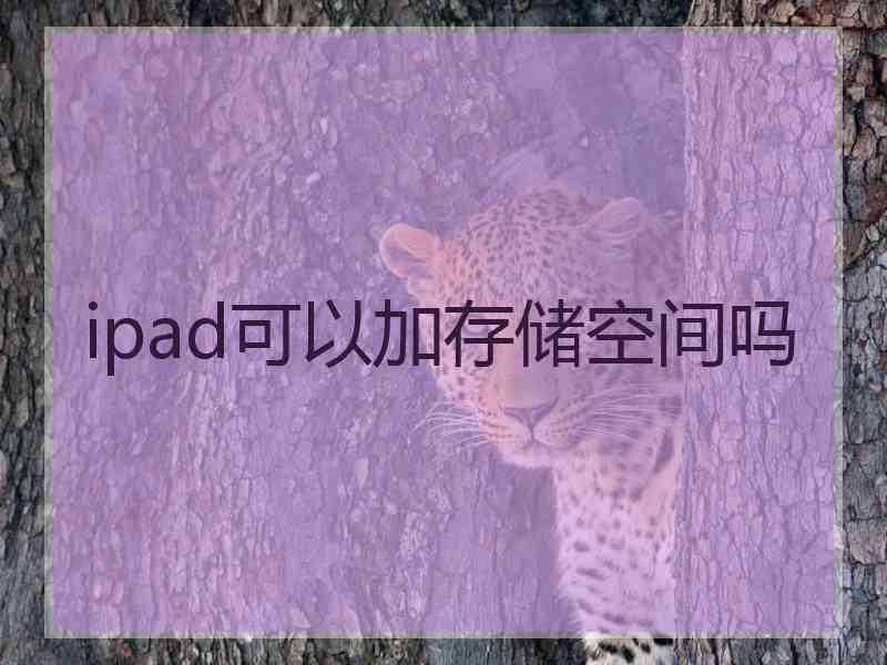 ipad可以加存储空间吗