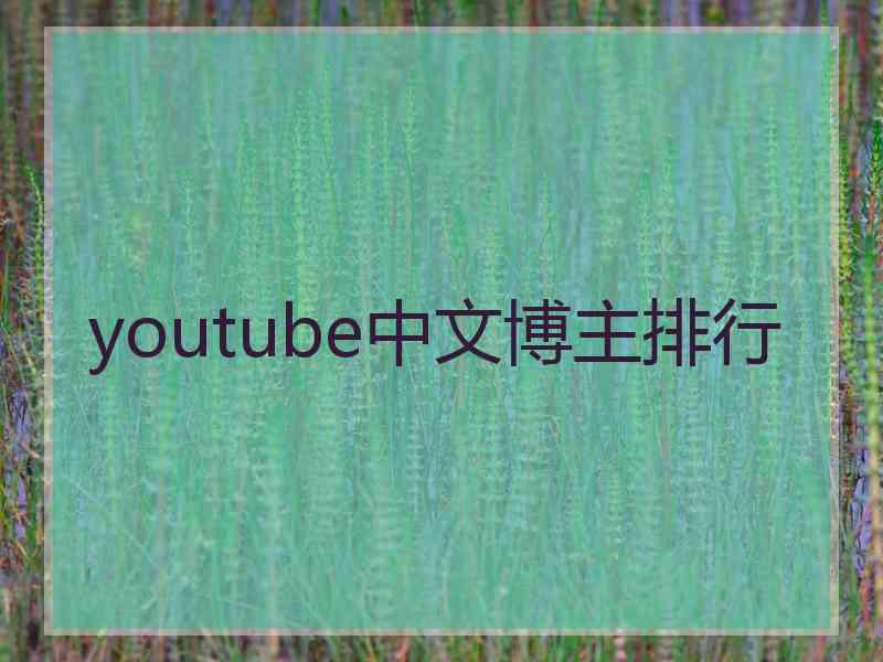 youtube中文博主排行