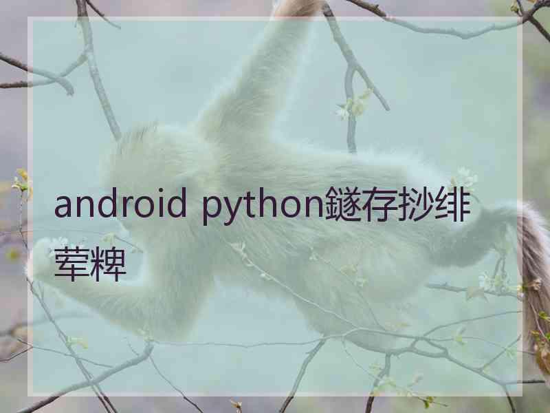 android python鐩存挱绯荤粺