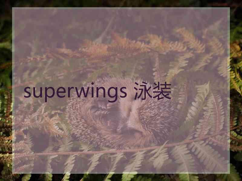 superwings 泳装