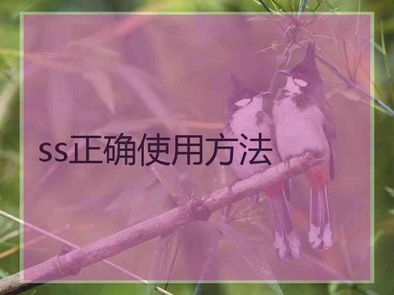 ss正确使用方法