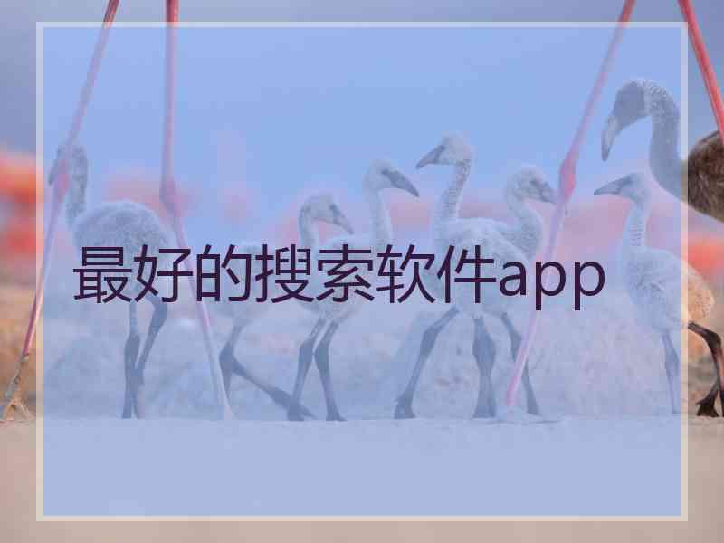 最好的搜索软件app