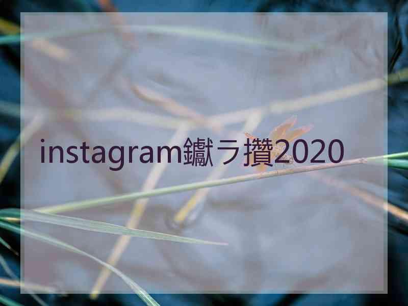 instagram钀ラ攢2020